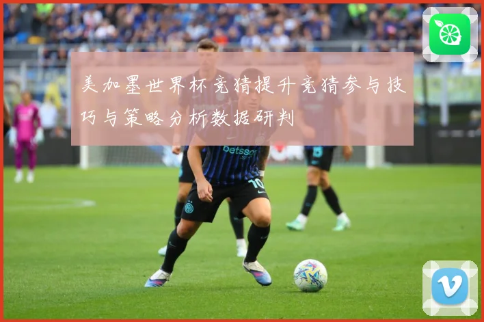 美加墨世界杯竞猜提升竞猜参与技巧与策略分析数据研判